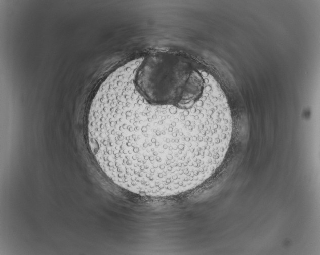 X0000116301105201001111111