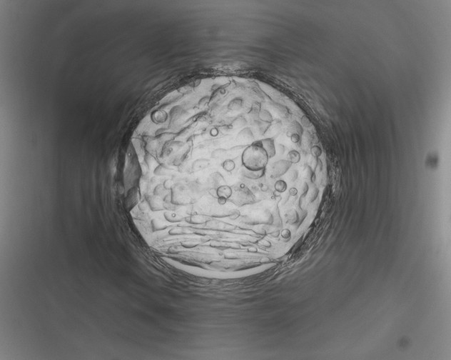 X0000116301106201001111111