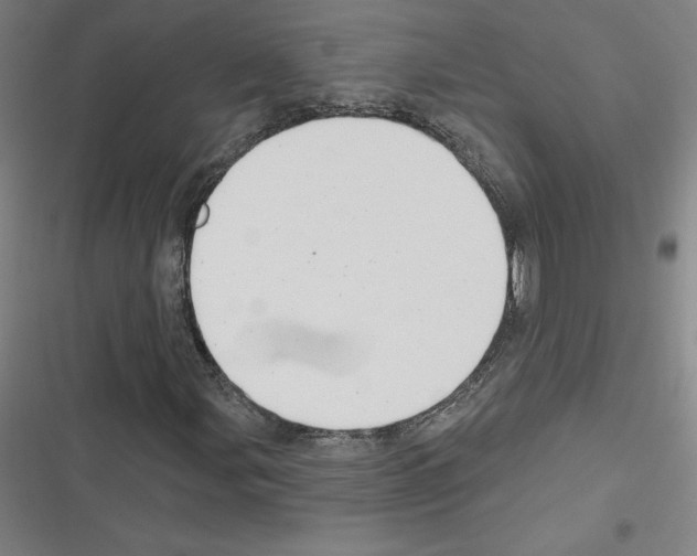 X0000116301107201001111111