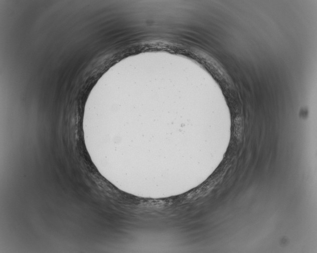 X0000116301111201001111111