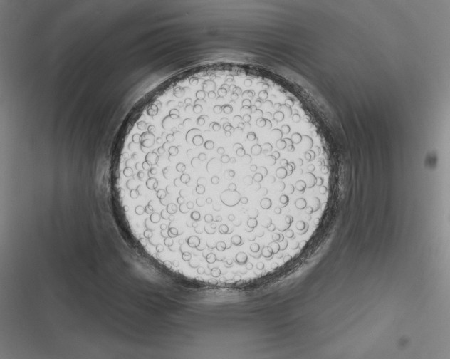 X0000116301113201001111111