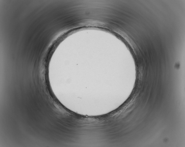 X0000116301115201001111111