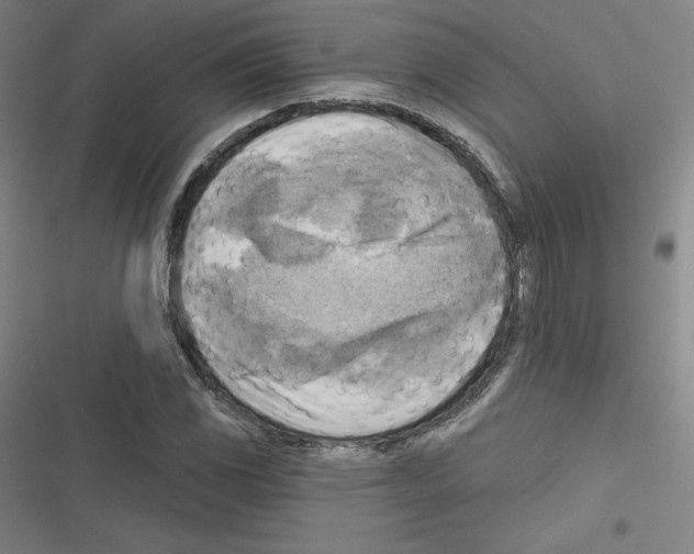 X0000116301117201001111112