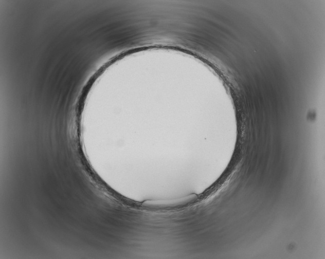 X0000116301118201001111112