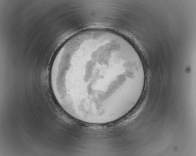 X0000116301121201001111112