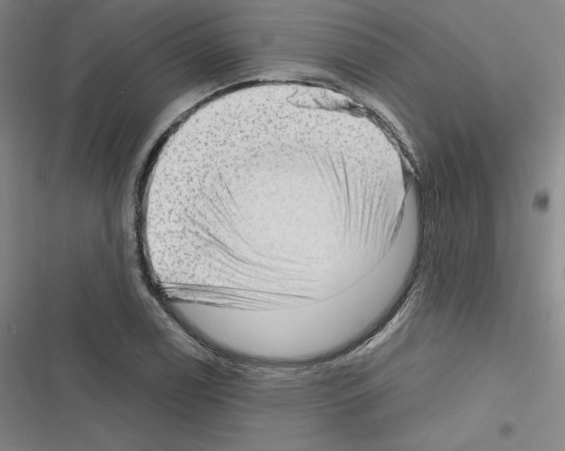 X0000116301122201001111112