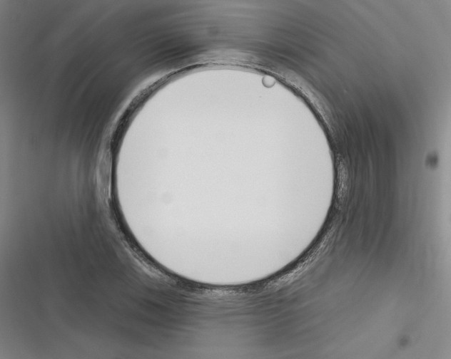 X0000116301123201001111112