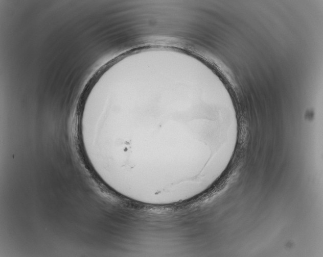 X0000116301125201001111112