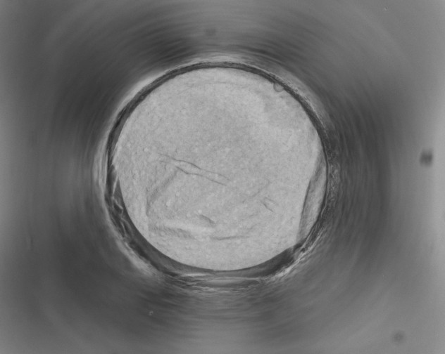 X0000116301127201001111112