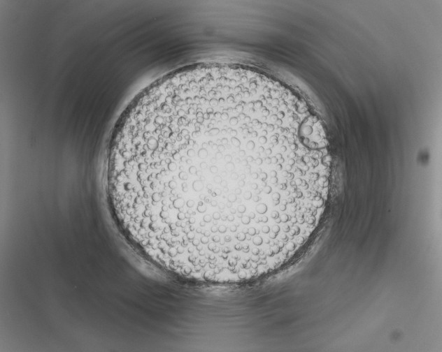 X0000116301130201001111112