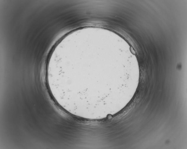 X0000116301131201001111112