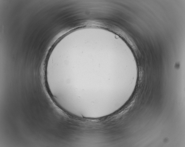 X0000116301133201001111112