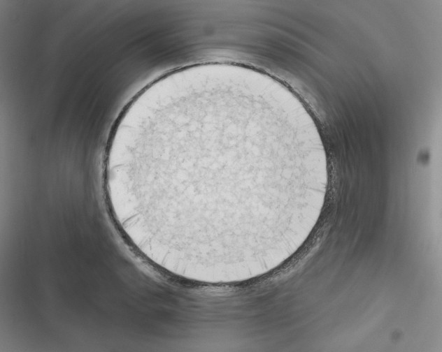 X0000116301134201001111112