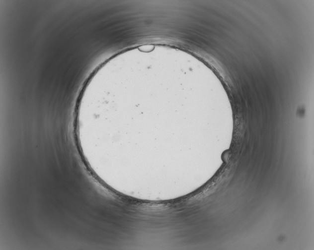 X0000116301135201001111112