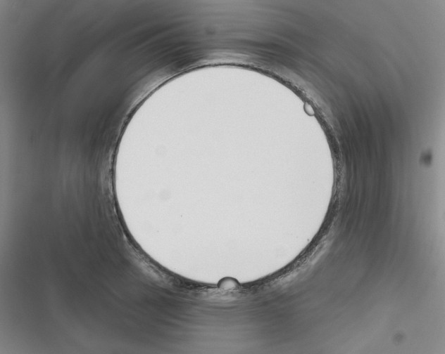 X0000116301137201001111112