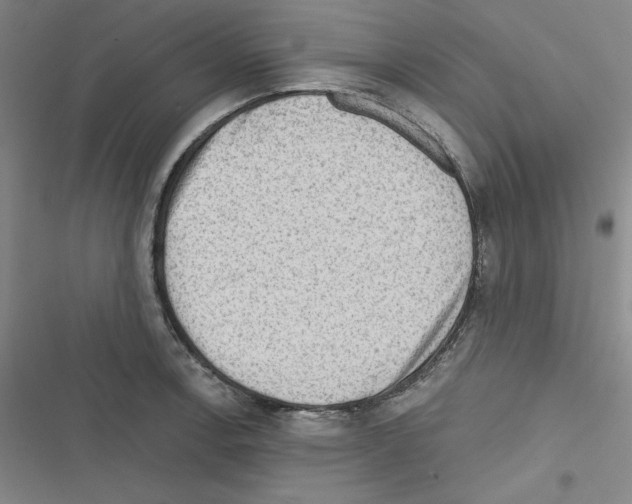 X0000116301138201001111112