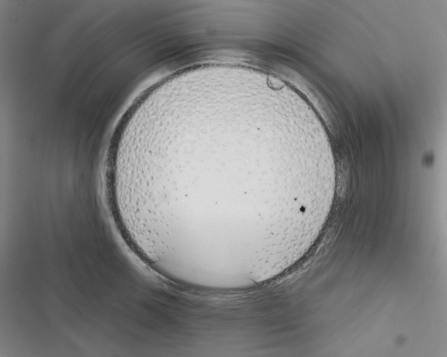 X0000116301139201001111112