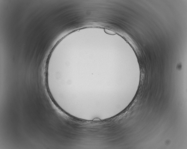 X0000116301143201001111112