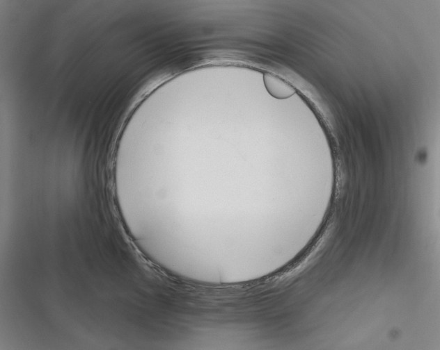 X0000116301145201001111112