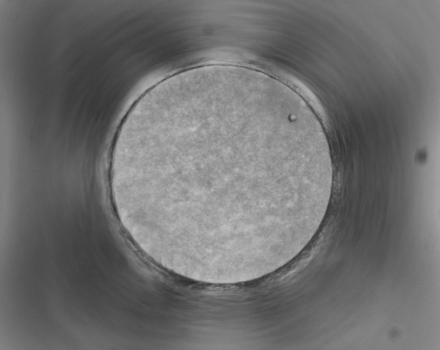 X0000116301146201001111112