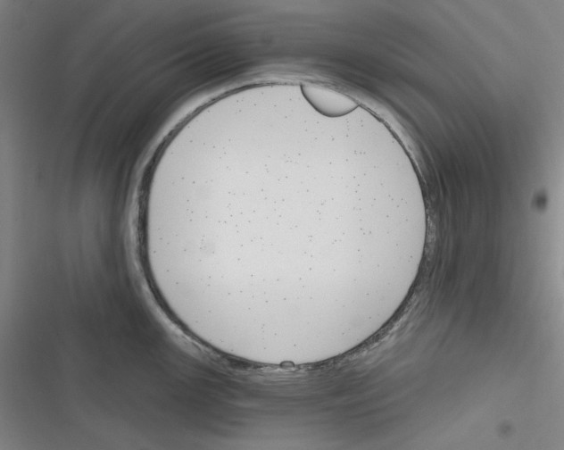 X0000116301147201001111112