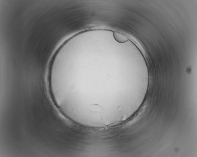 X0000116301149201001111112