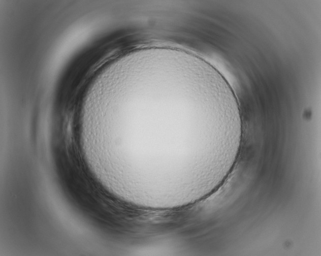 X0000116301150201001111112