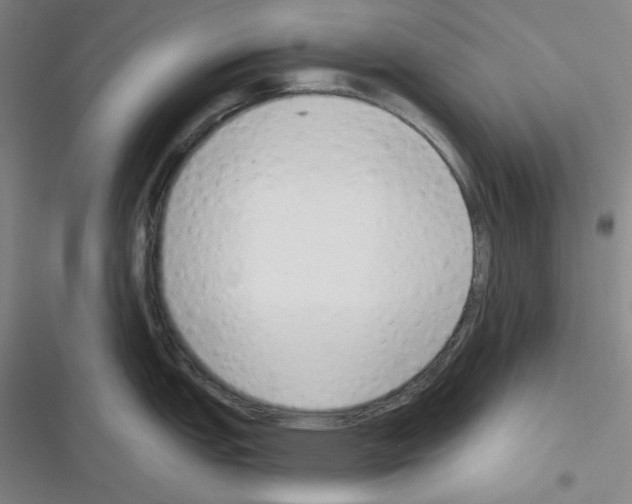 X0000116301151201001111112