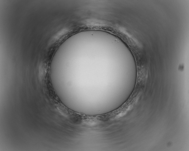 X0000116301157201001111111