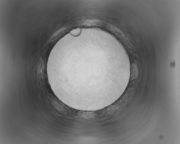 X0000116301158201001111111