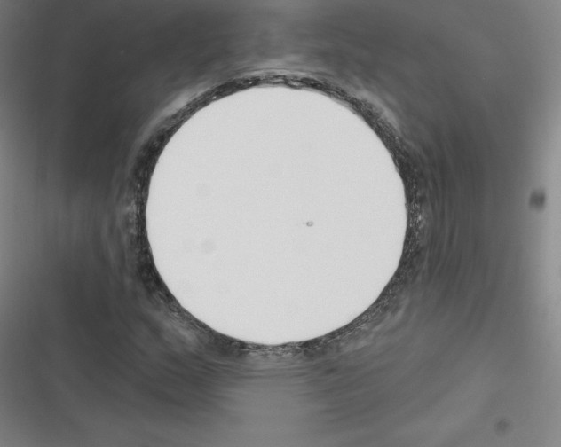 X0000116301159201001111111