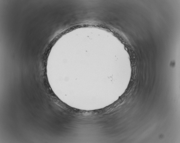 X0000116301160201001111111