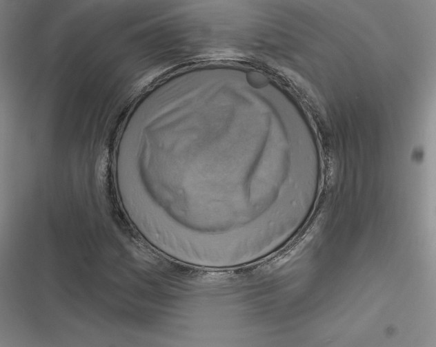 X0000116301161201001111111