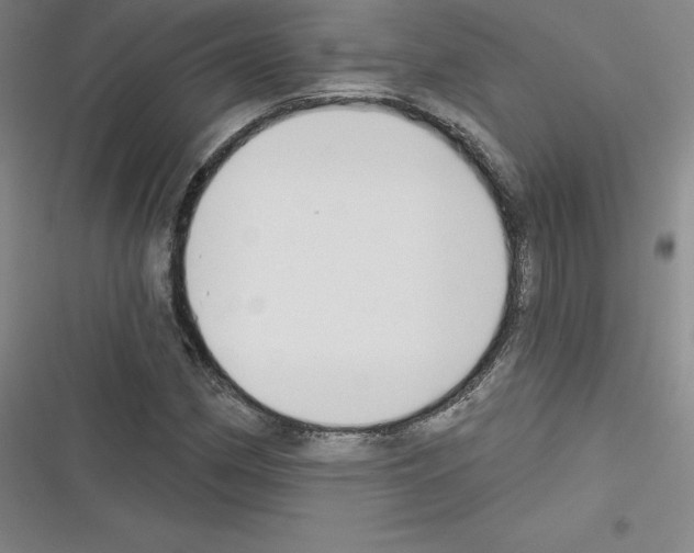 X0000116301162201001111111