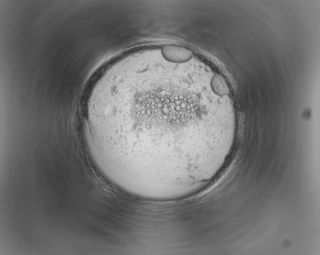 X0000116301163201001111111