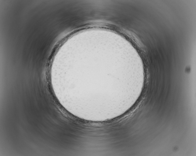 X0000116301164201001111111