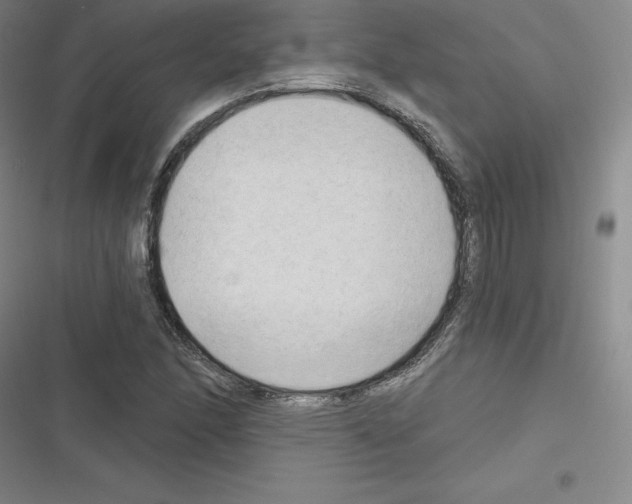 X0000116301166201001111111