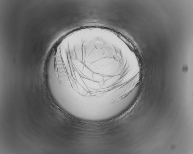 X0000116301167201001111111