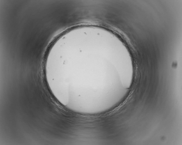 X0000116301168201001111111