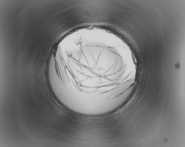 X0000116301169201001111111