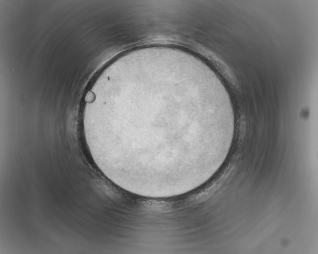 X0000116301170201001111111