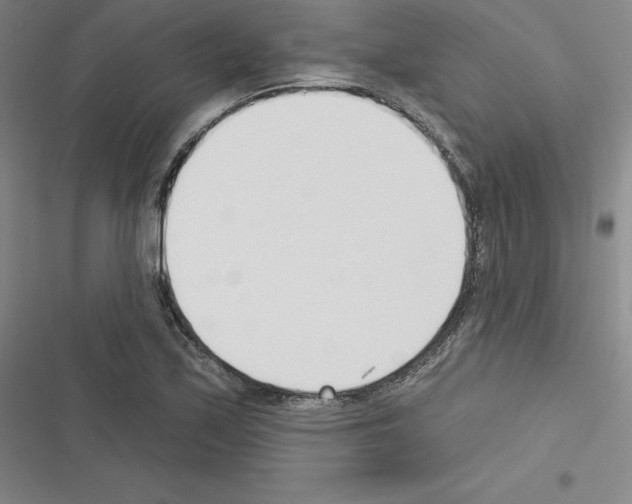 X0000116301171201001111111