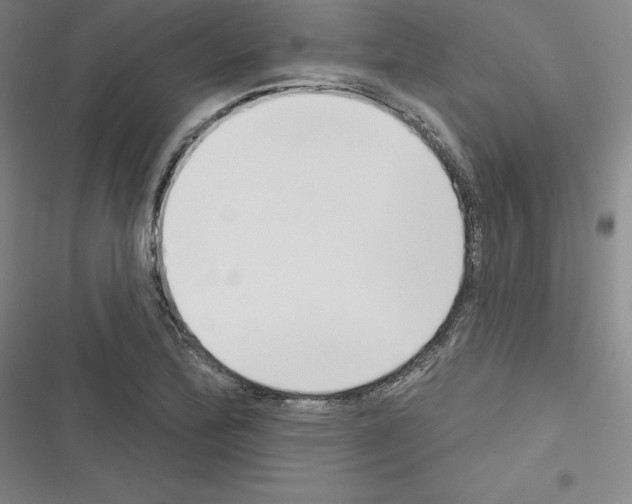 X0000116301172201001111111