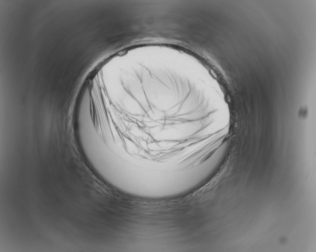 X0000116301173201001111111