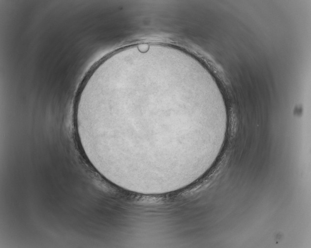 X0000116301174201001111111