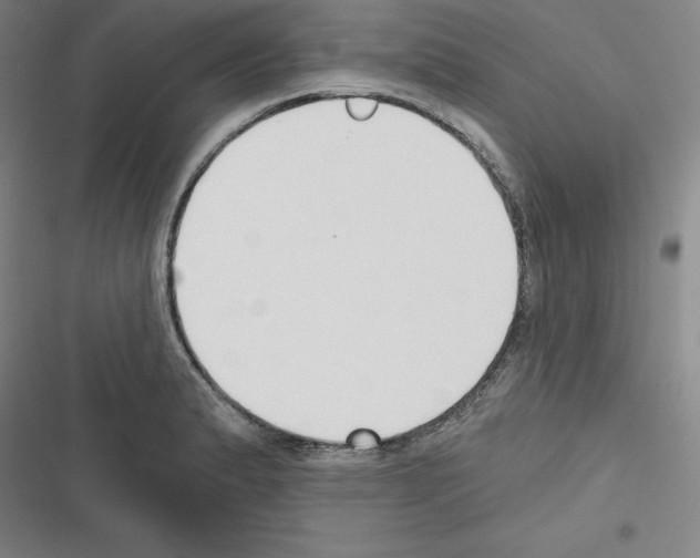 X0000116301183201001111111