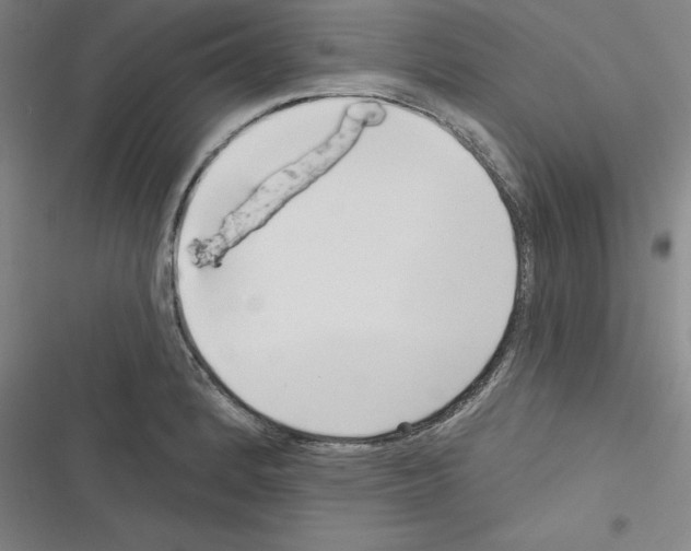 X0000116301184201001111111