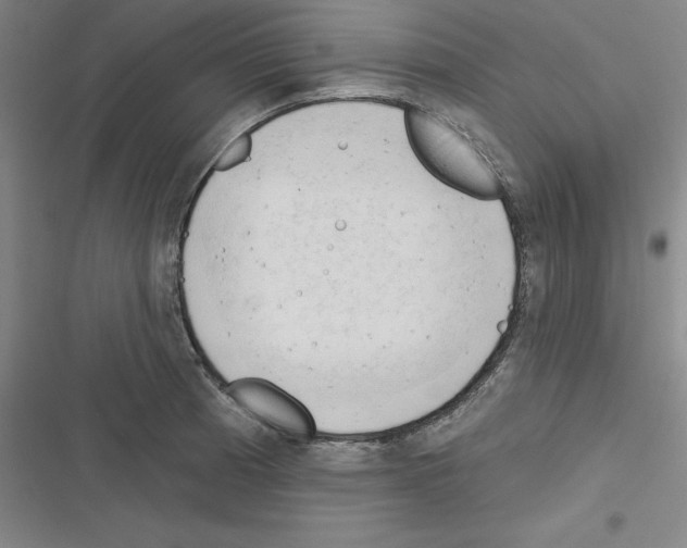 X0000116301185201001111111