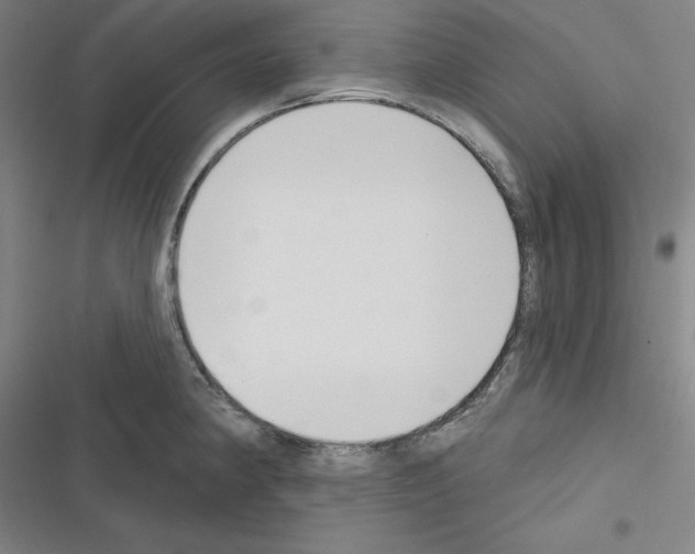 X0000116301190201001111111