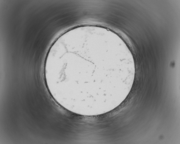 X0000116301191201001111111